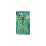 SKIN1004 Madagascar Centella Tea-Trica B5 Cream 1.5 ml